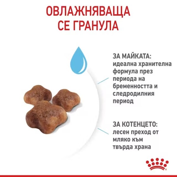 Royal Canin Mother and Babycat - Суха храна за бременни и кърмещи котки и подрастващи котенца от 1 до 4 месеца